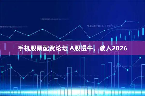 手机股票配资论坛 A股慢牛，驶入2026